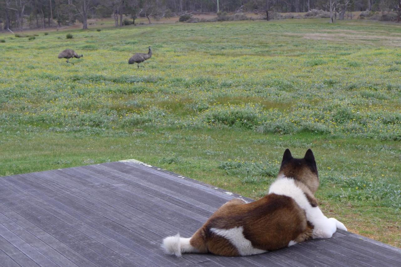Margaret River Farmhouse Rosa Glen Extérieur photo